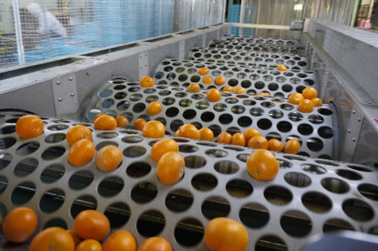 製造工程