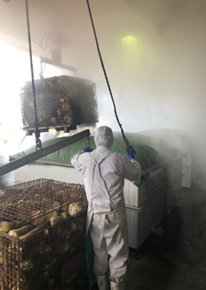 製造工程