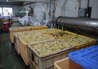 製造工程